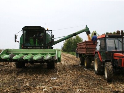Sajam Agro Zemlja 2012. - 1. Festival hibrida kukuruza