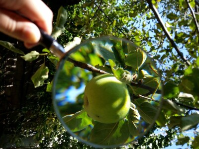 AGRObjektiv - Fotografije sa studentskog fotokonkursa
