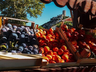 AGRObjektiv - Fotografije sa studentskog fotokonkursa