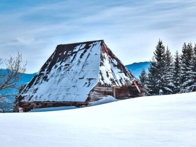 AGRObjektiv - Fotografije sa studentskog fotokonkursa