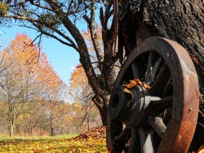 AGRObjektiv - Fotografije sa studentskog fotokonkursa