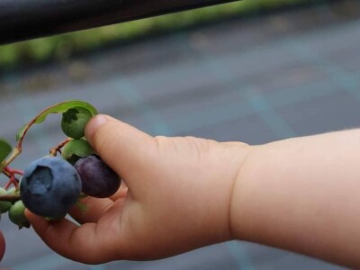 AGRObjektiv - Fotografije sa studentskog fotokonkursa