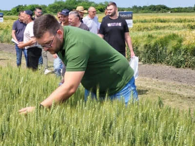 AgroChem MAKS - program SelectiS