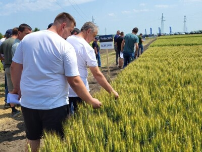 AgroChem MAKS - program SelectiS