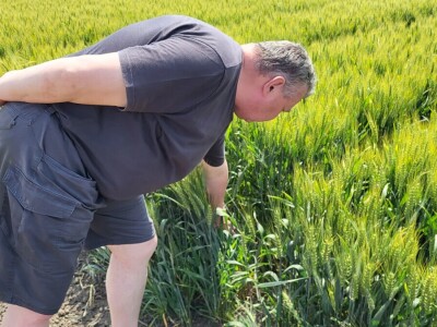 AgroChem MAKS - program SelectiS