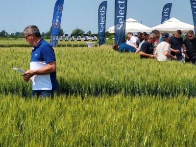 AgroChem MAKS - program SelectiS