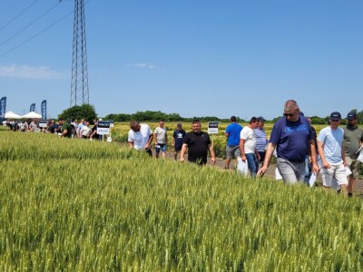 AgroChem MAKS - program SelectiS