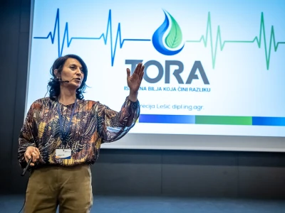 TORA TURBO LINIJA