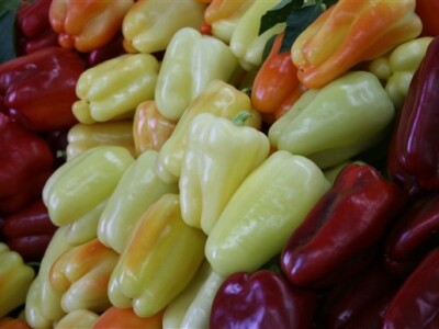 Dobro poznata paprika iz ovih krajeva