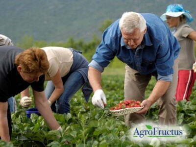 Revitalizacije HR proizvodnje