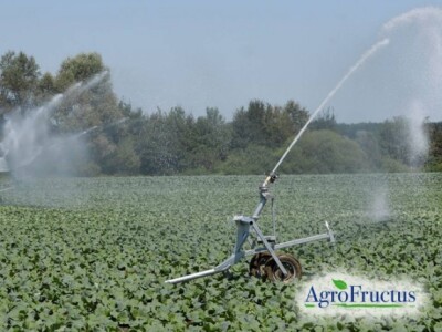 Uzgoj na poljima kooperanata