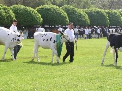 XX. stočarski i ratarski dani u Hódmezővásárhely-u