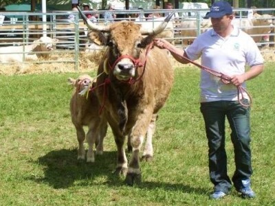 XX. stočarski i ratarski dani u Hódmezővásárhely-u