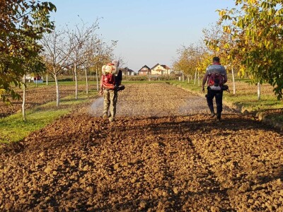 Agroinova FAZOS: Usjevi pod orahom Agroinova FAZOS: Usjevi pod orahom
