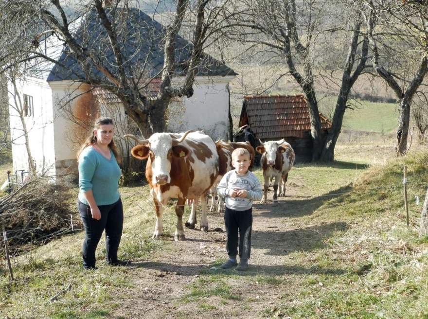 Zorica