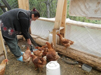 Oživelo selo kraj Zlatarskog jezera