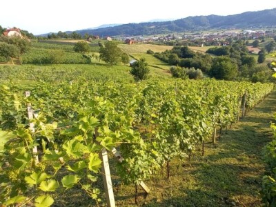 Agroklubov autor godine mr.sc. Dražen Kaučić Agroklubov autor godine mr.sc. Dražen Kaučić