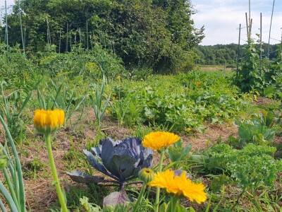 Agroklubova autorica godine 2025, Maja Prištof Ničota