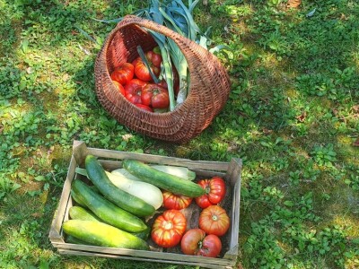 Agroklubova autorica godine 2025, Maja Prištof Ničota