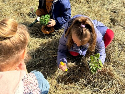 Agroklubova autorica godine 2025, Maja Prištof Ničota
