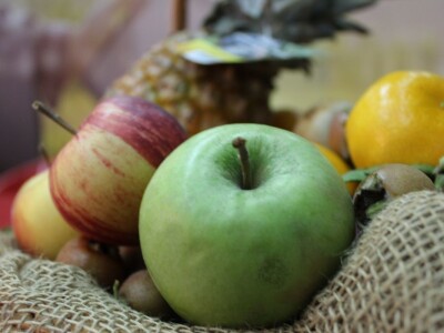 Agrokos 2018, Priština