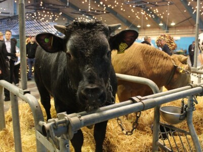 Agromek 2018, Herning, Danska