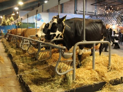 Agromek 2018, Herning, Danska