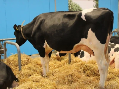 Agromek 2018, Herning, Danska