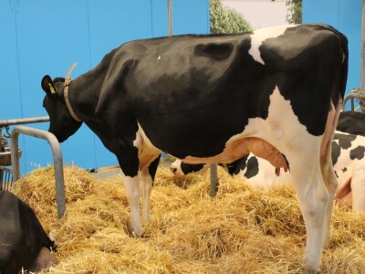 Agromek 2018, Herning, Danska