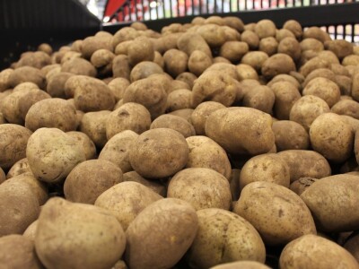 Agromek 2018, Herning, Danska