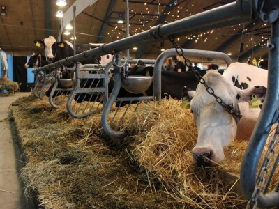 Agromek 2018, Herning, Danska