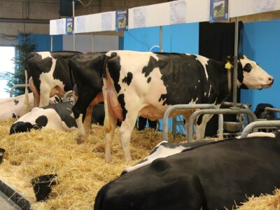 Agromek 2018, Herning, Danska