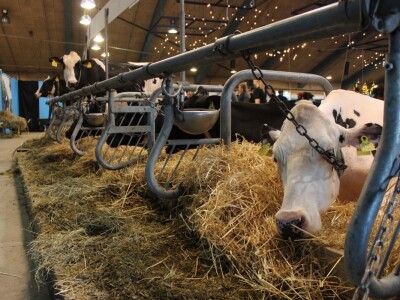 Agromek 2018, Herning, Danska