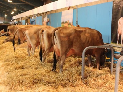 Agromek 2018, Herning, Danska