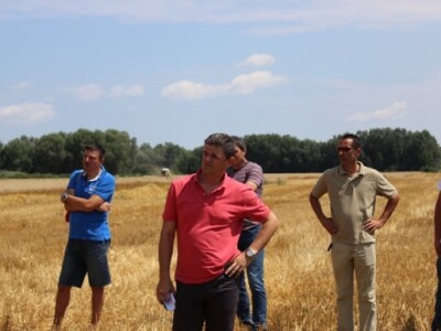 Prezentacija Case Axial Flow 6140 kombajna