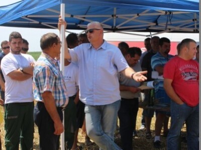 Ha ni ja se ne mogu riješiti prošlogodišnje pšenice!