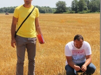 Prezentacija Case Axial Flow 6140 kombajna