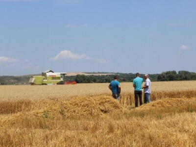 Prezentacija Case Axial Flow 6140 kombajna