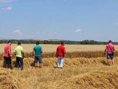 Prezentacija Case Axial Flow 6140 kombajna