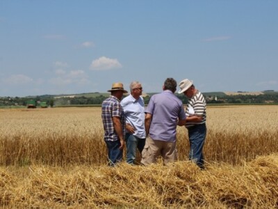 Prezentacija Case Axial Flow 6140 kombajna