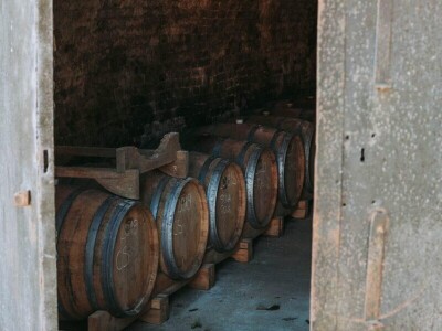 Agronomkinja iz Iloka Martina Šaravanja: "Inovacija i proizvodi dodane vrijednosti ključ su uspjeha u poljoprivredi" Agronomkinja iz Iloka Martina Šaravanja: "Inovacija i proizvodi dodane vrijednosti ključ su uspjeha u poljoprivredi"