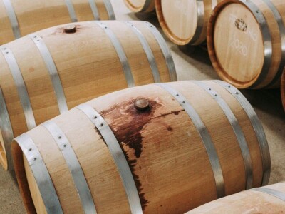 Agronomkinja iz Iloka Martina Šaravanja: "Inovacija i proizvodi dodane vrijednosti ključ su uspjeha u poljoprivredi" Agronomkinja iz Iloka Martina Šaravanja: "Inovacija i proizvodi dodane vrijednosti ključ su uspjeha u poljoprivredi"