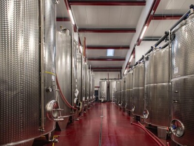 Agronomkinja iz Iloka Martina Šaravanja: "Inovacija i proizvodi dodane vrijednosti ključ su uspjeha u poljoprivredi" Agronomkinja iz Iloka Martina Šaravanja: "Inovacija i proizvodi dodane vrijednosti ključ su uspjeha u poljoprivredi"