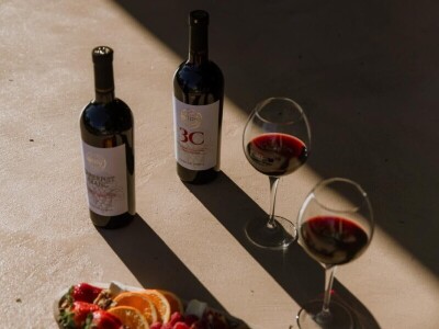 Agronomkinja iz Iloka Martina Šaravanja: "Inovacija i proizvodi dodane vrijednosti ključ su uspjeha u poljoprivredi" Agronomkinja iz Iloka Martina Šaravanja: "Inovacija i proizvodi dodane vrijednosti ključ su uspjeha u poljoprivredi"