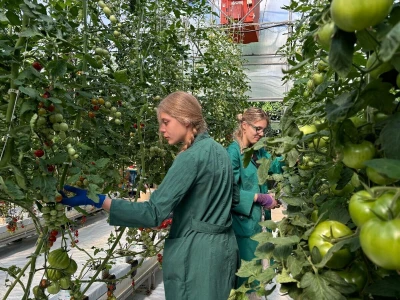 Agronomska škola ne miruje ni ljeti