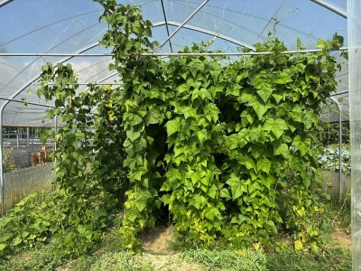 Agronomska škola ne miruje ni ljeti
