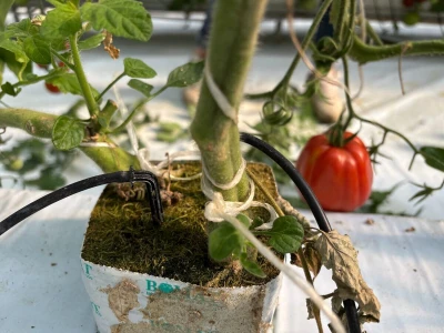 Agronomska škola ne miruje ni ljeti