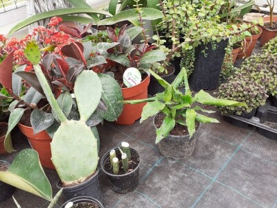 Agronomska škola Zagreb