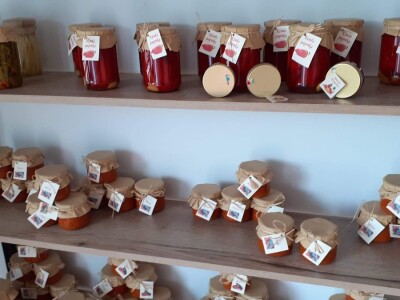 Agronomska škola Zagreb