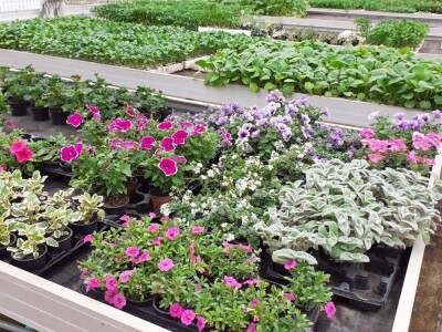 Agronomska škola Zagreb